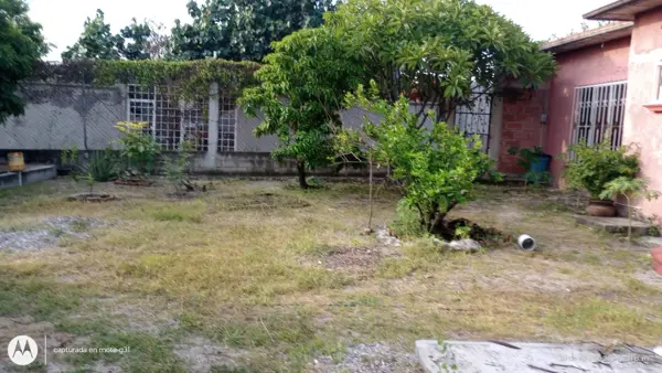 Casa en venta en Xochicalco (Cirenio Longares), Miacatlán — foto 2 de 22