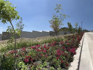 Terreno en venta en Vista Real y Country Club, Corregidora — foto 3 de 18