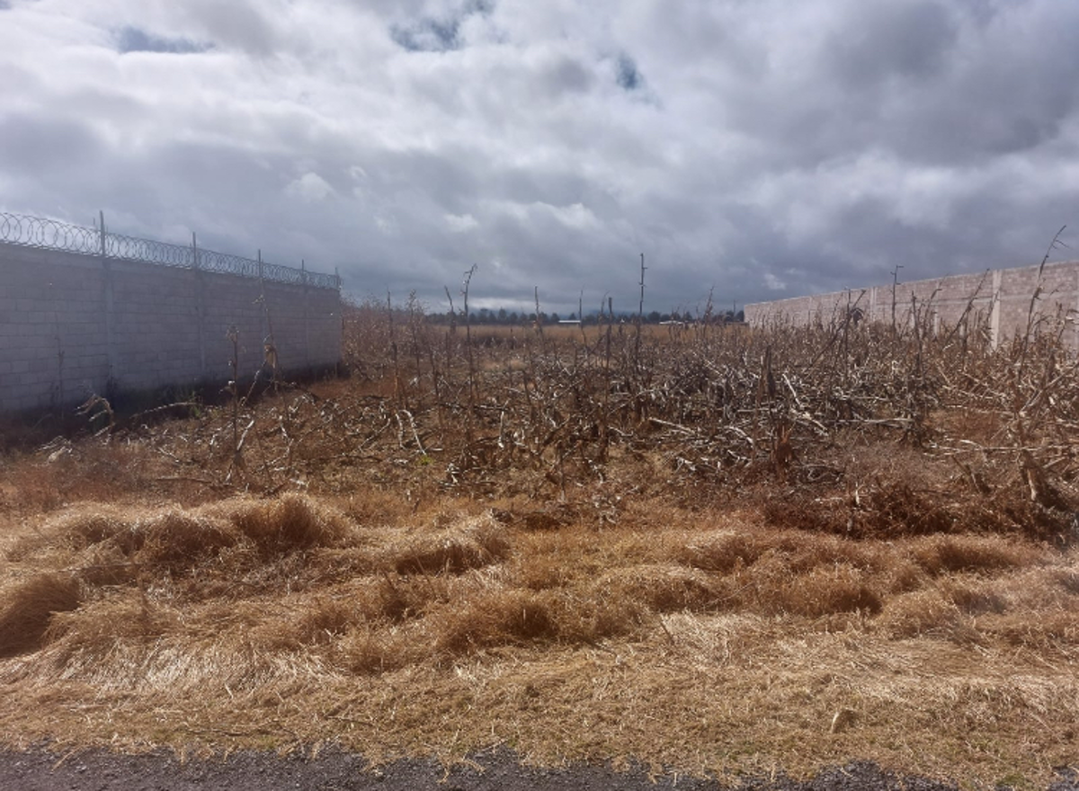 Terreno en venta en San Miguel Totocuitlapilco, Metepec — foto 1 de 2