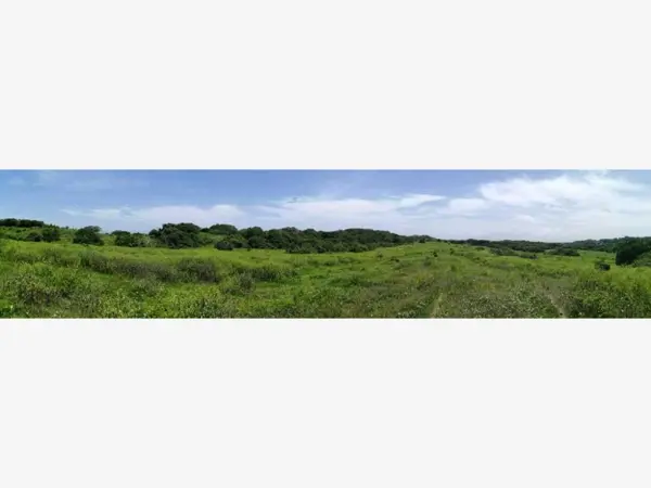 Terreno en venta en Anton Lizardo, Alvarado — foto 3 de 3