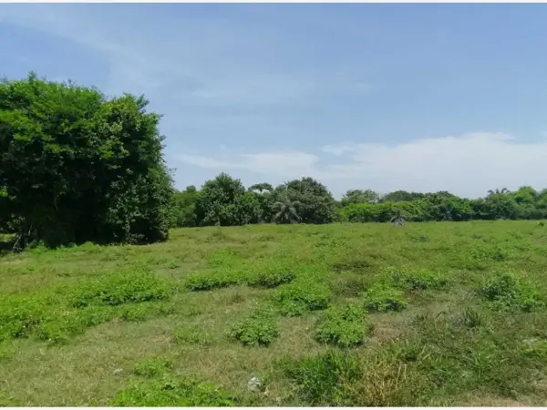 Terreno en venta en Anton Lizardo, Alvarado — foto 2 de 3
