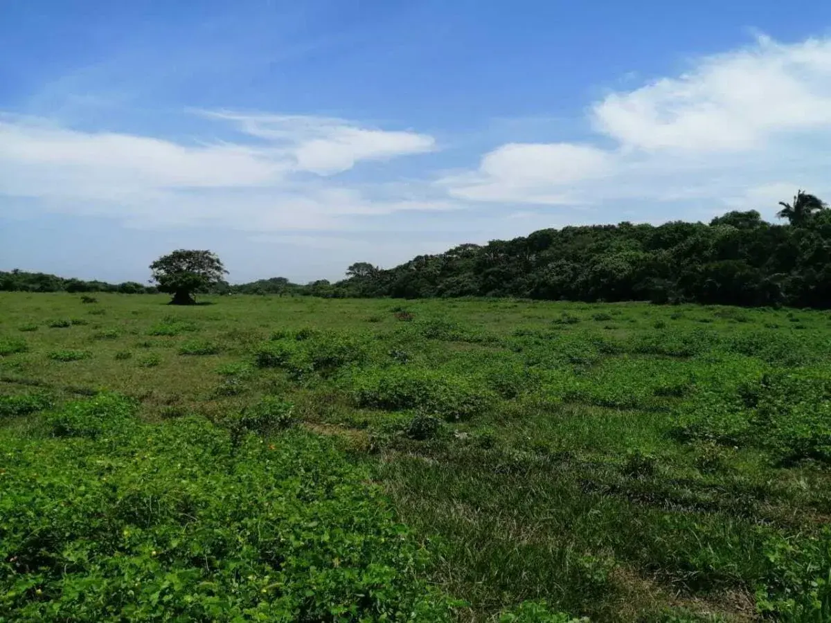 Terreno en venta en Anton Lizardo, Alvarado — foto 1 de 3