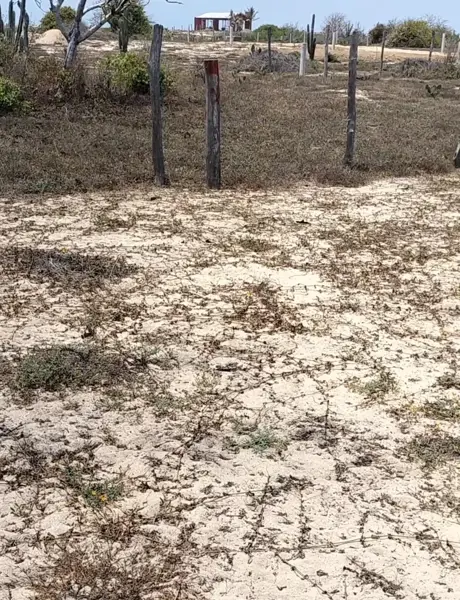 Terreno en venta en Barra de Cuatunalco, San Pedro Pochutla — foto 3 de 6