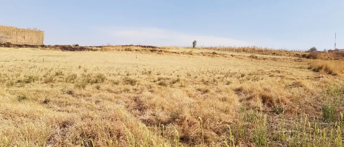 Terreno en venta en Santa Maria Magdalena Ocotitlan, Metepec