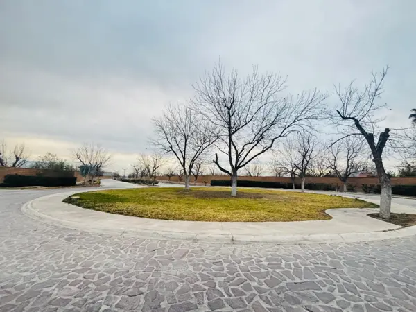 Terreno en venta en La Barranca, Torreón — foto 3 de 7
