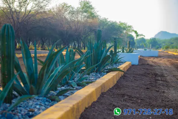 Terreno en venta en Morro de Mazatan, Santo Domingo Tehuantepec — foto 3 de 19