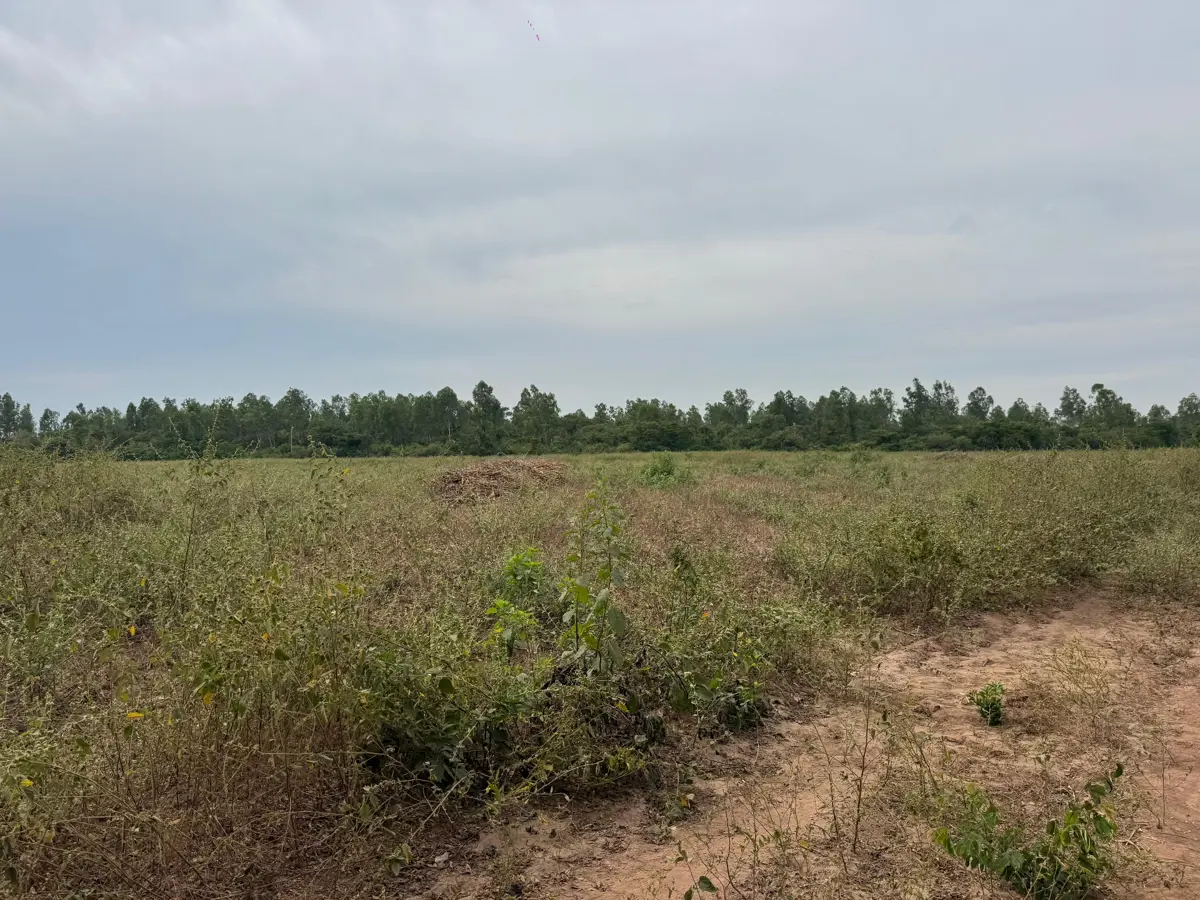 Terreno en venta en La Salada, La Unión de Isidoro Montes de Oca — foto 1 de 12