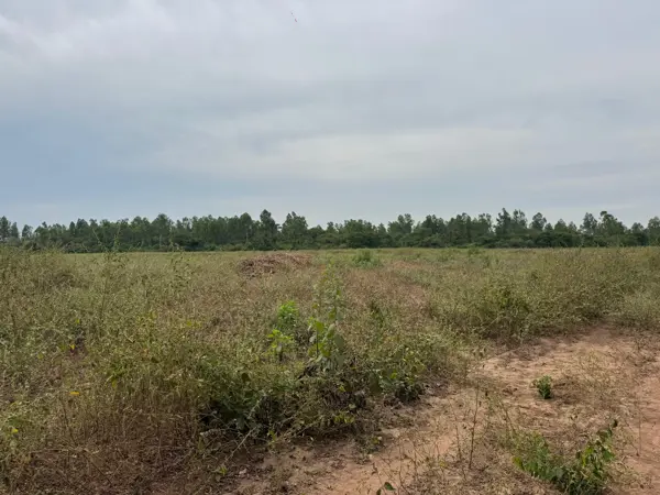 Terreno en venta en La Salada, La Unión de Isidoro Montes de Oca, Guerrero