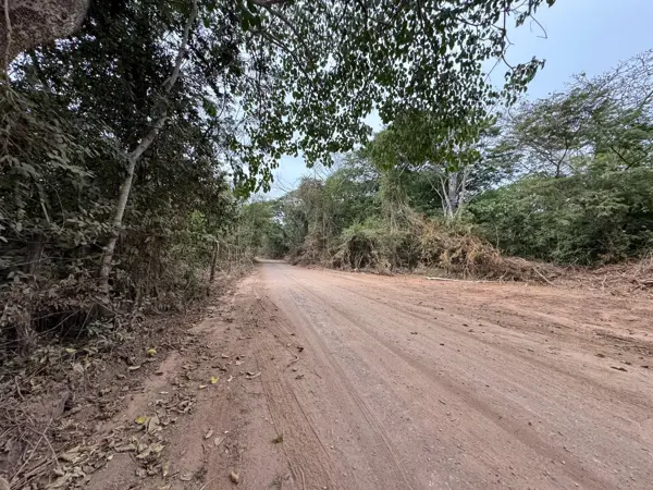 Terreno en venta en La Salada, La Unión de Isidoro Montes de Oca — foto 3 de 12