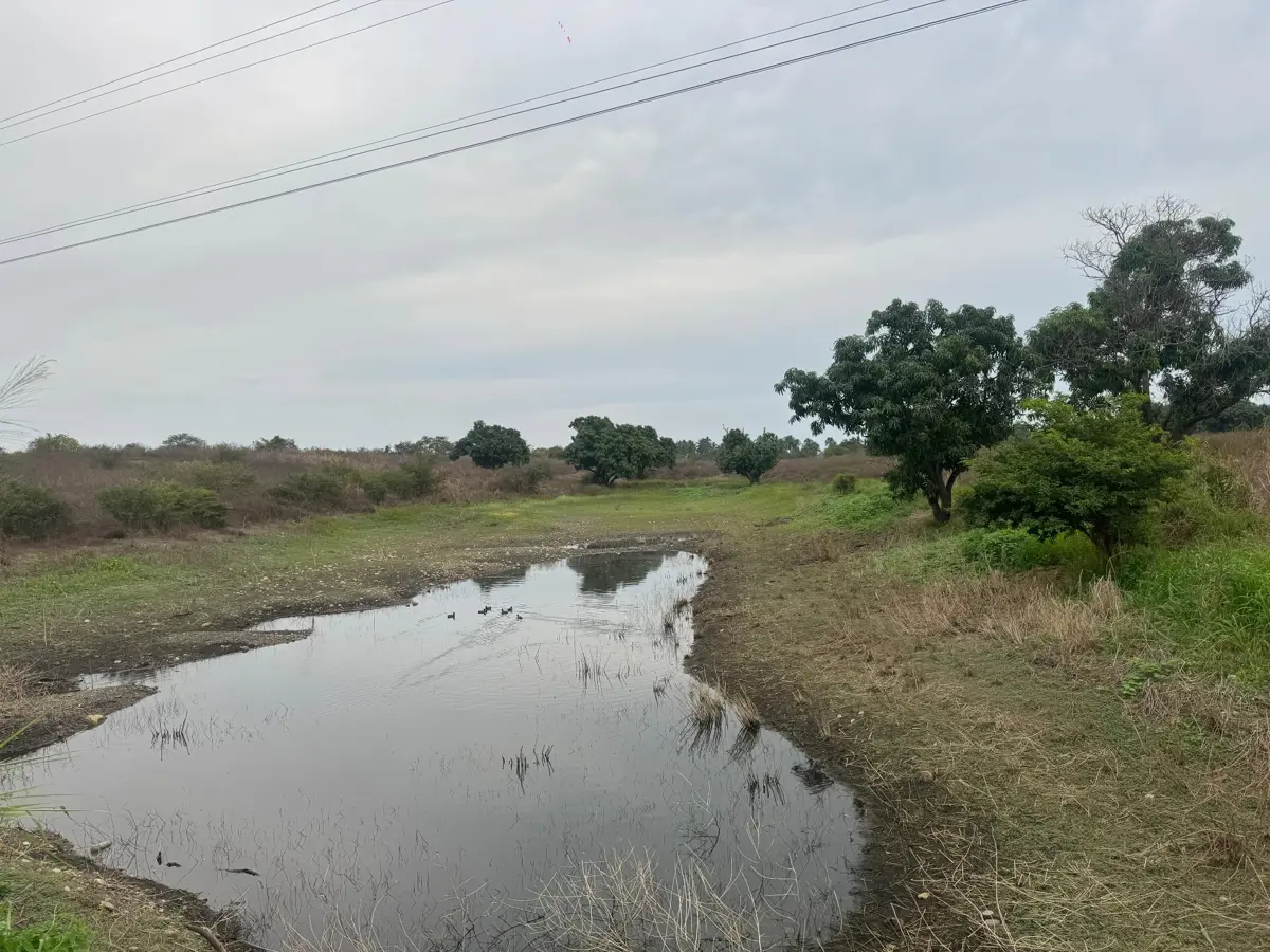 Terreno en venta en La Mira, Zihuatanejo de Azueta — foto 1 de 10