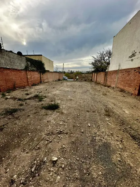 Terreno en venta en Los Pinos, Saltillo — foto 2 de 4