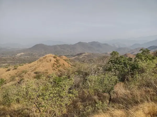 Terreno en venta en Santo Domingo Zanatepec, Santo Domingo Zanatepec — foto 2 de 5