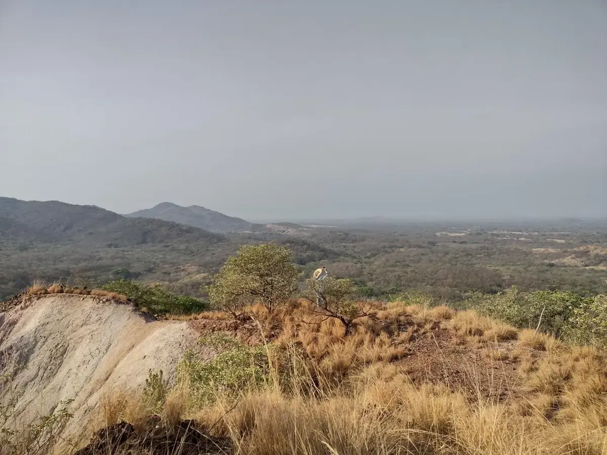 Terreno en venta en Santo Domingo Zanatepec, Santo Domingo Zanatepec — foto 1 de 5