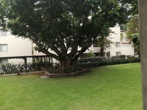 Departamento en venta en Tlaltenango, Cuernavaca — foto 2 de 29