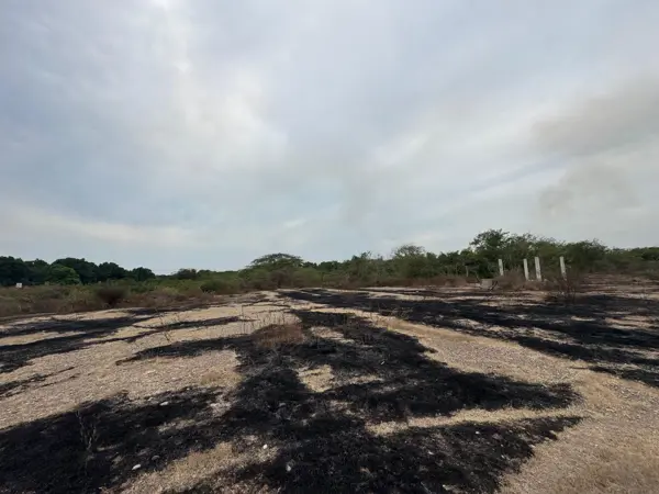 Terreno en venta en La Mira, Zihuatanejo de Azueta — foto 2 de 16