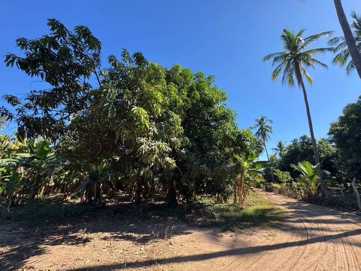 Terreno en venta en Rinconada del Balsas, Lázaro Cárdenas — foto 1 de 13