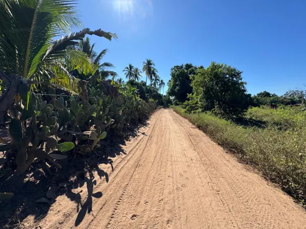 Terreno en venta en Rinconada del Balsas, Lázaro Cárdenas — foto 3 de 13