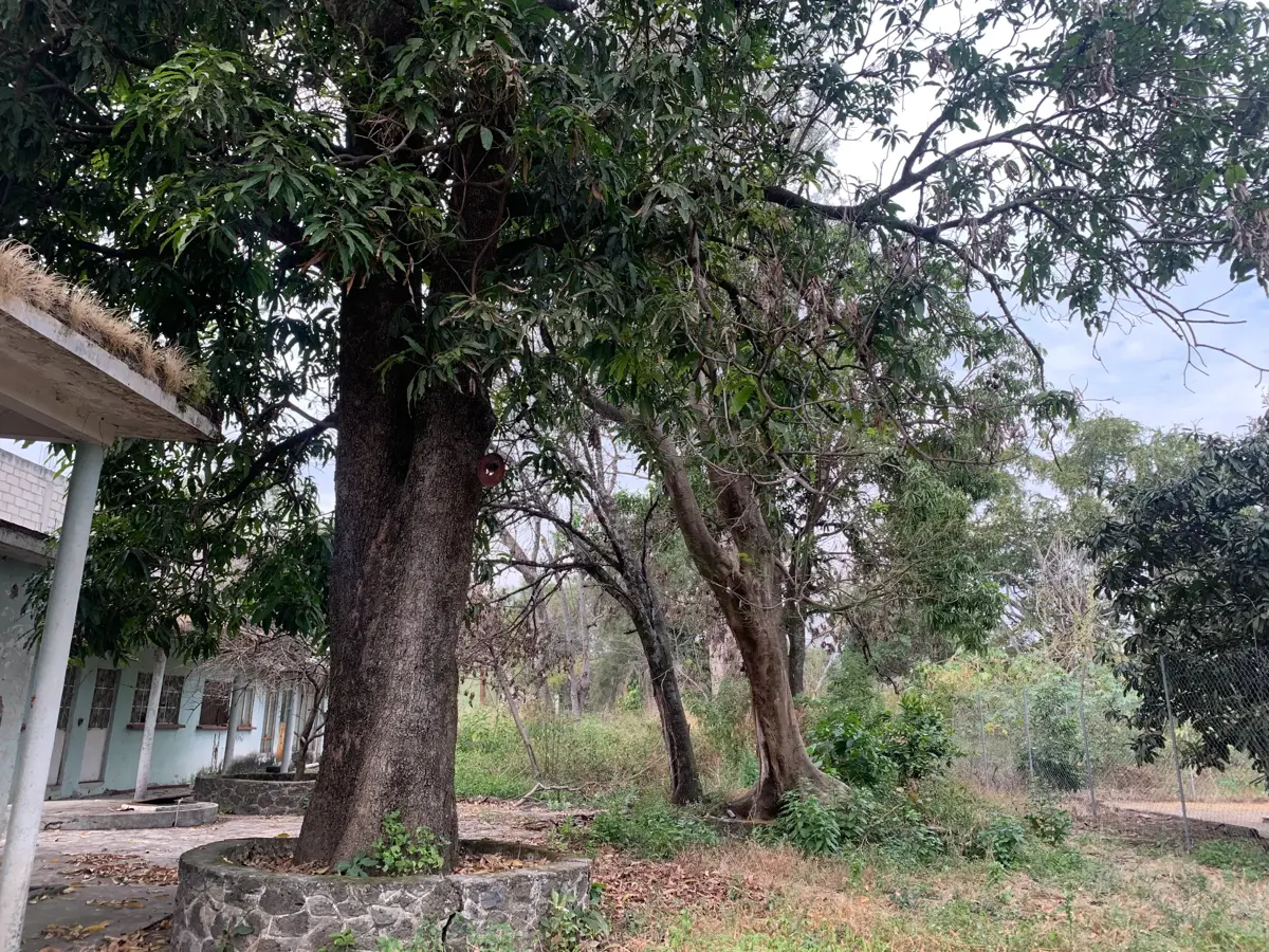 Terreno en venta en Ixtlahuacan, Yautepec — foto 1 de 9