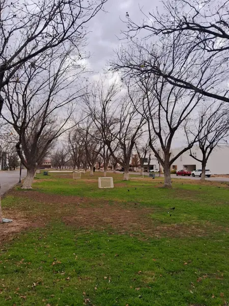 Terreno en venta en Las Trojes, Torreón — foto 2 de 7