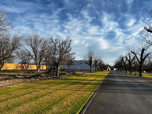 Terreno en venta en Las Villas, Torreón — foto 2 de 4