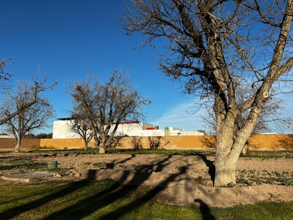 Terreno en venta en Las Villas, Torreón — foto 3 de 4