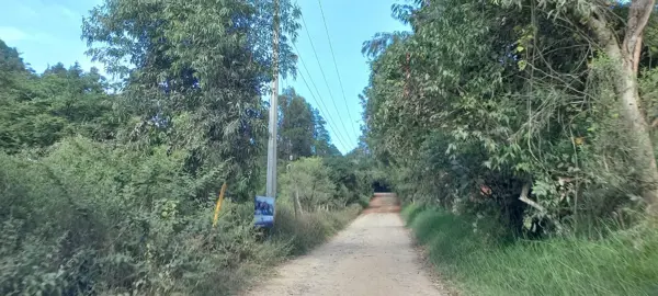 Terreno en venta en Charo, Charo — foto 3 de 8