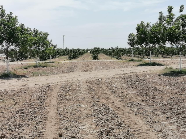 Finca-Rancho en venta en Santa Cecilia (La Cecilia), Parras — foto 3 de 5