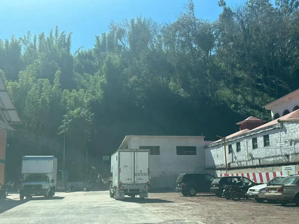 Bodega en renta en Banderilla Centro, Banderilla — foto 1 de 13