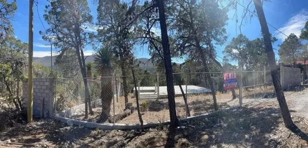 Terreno en venta en La Ciruela, Arteaga — foto 2 de 7