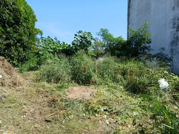 Terreno en venta en Adalberto Tejeda, Boca del Río — foto 3 de 7