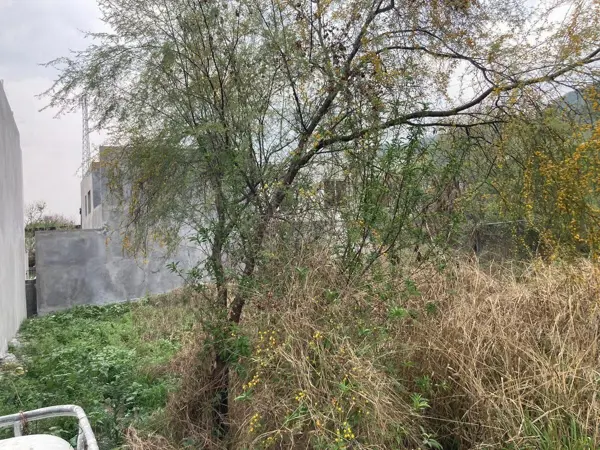 Terreno en venta en San Pedro El Álamo, Santiago — foto 3 de 4