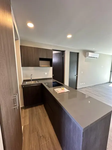 Departamento en renta en El Aguacatal, Santa Catarina — foto 2 de 8