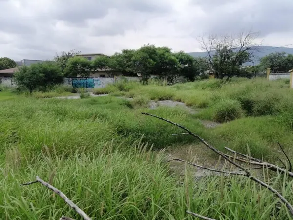 Terreno en renta en Hacienda Escobedo, General Escobedo, Nuevo León