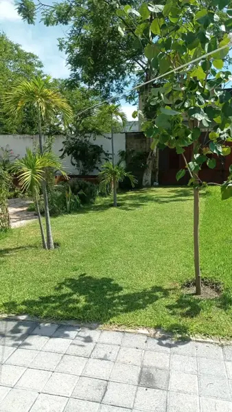 Terreno en venta en Atlacholoaya, Xochitepec — foto 2 de 36