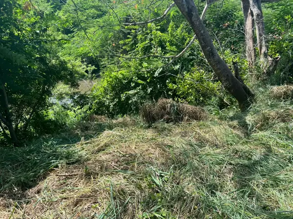 Terreno en venta en Ricardo Flores Magon, Boca del Río — foto 3 de 8