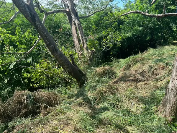 Terreno en venta en Ricardo Flores Magon, Boca del Río — foto 2 de 8