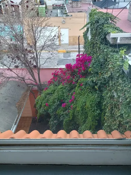 Casa en renta en La Curiela, Ecatepec de Morelos — foto 3 de 22