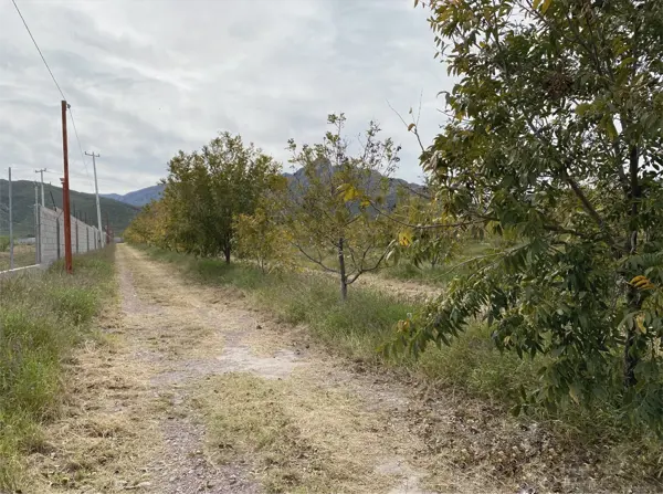 Terreno en venta en León Guzmán, Lerdo — foto 3 de 10
