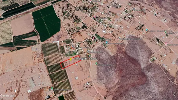 Terreno en venta en León Guzmán, Lerdo — foto 2 de 10