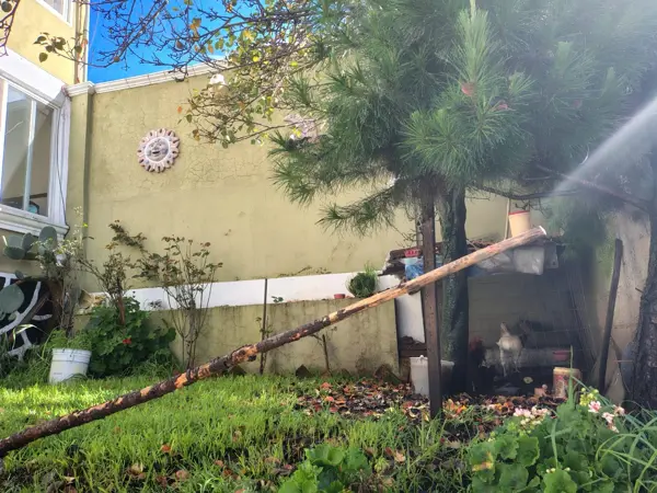 Casa en venta en Parres El Guarda, Tlalpan — foto 3 de 18
