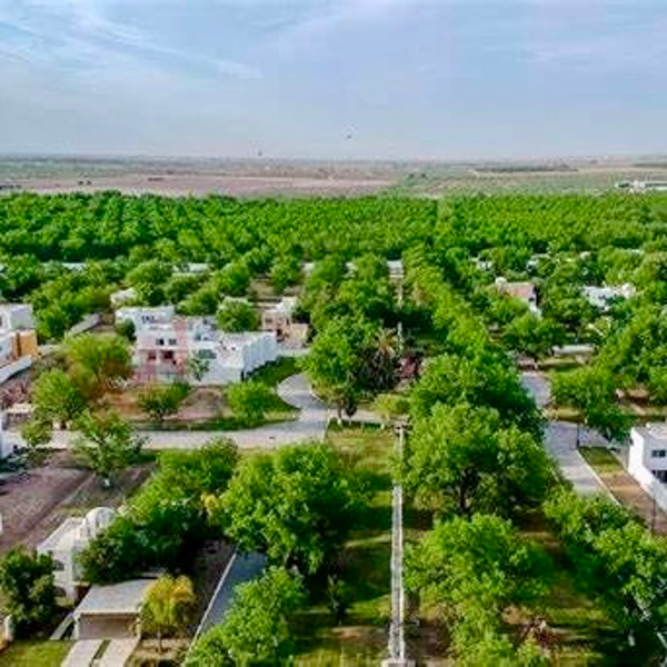 Terreno en venta en San Armando, Torreón — foto 2 de 12