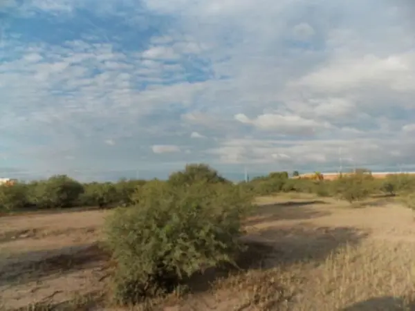 Terreno en venta en Hormiguero, Matamoros — foto 3 de 7
