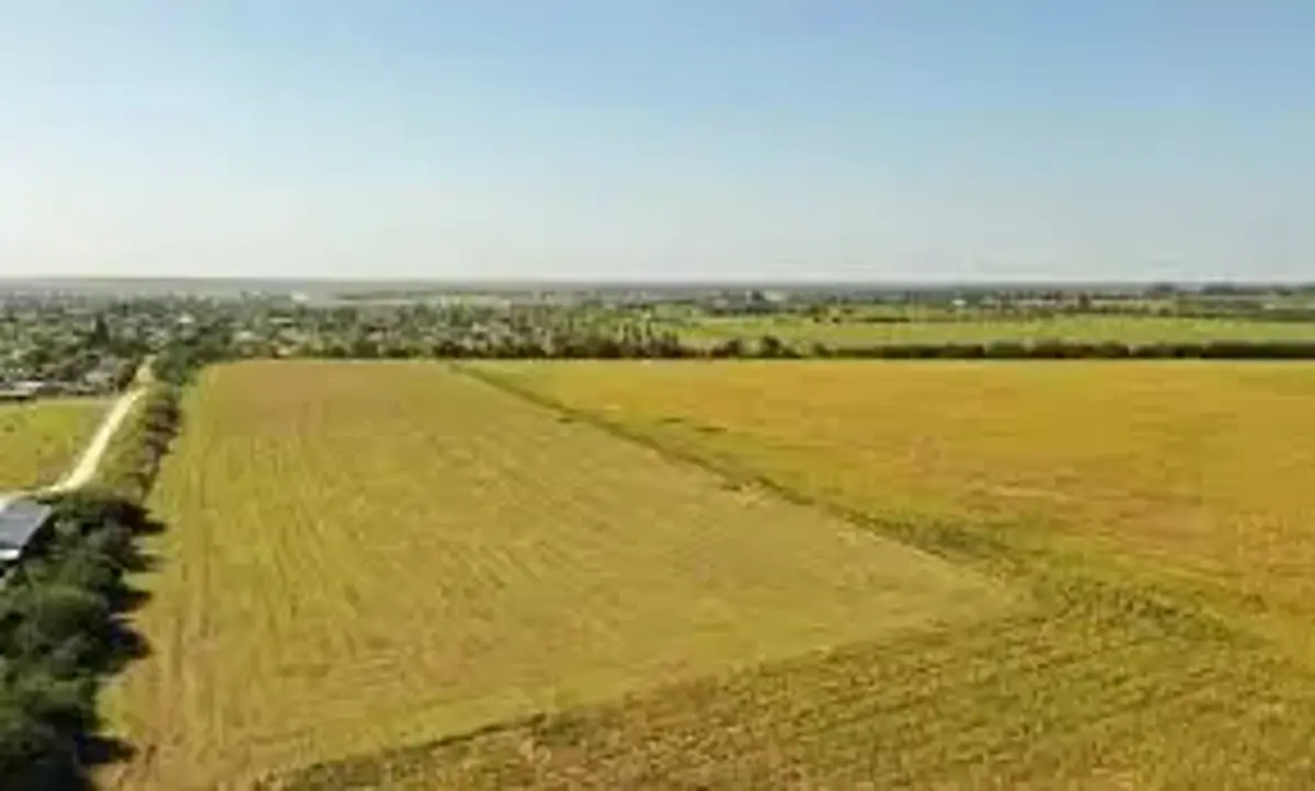 Terreno en venta en San José de Chiapa, San José Chiapa