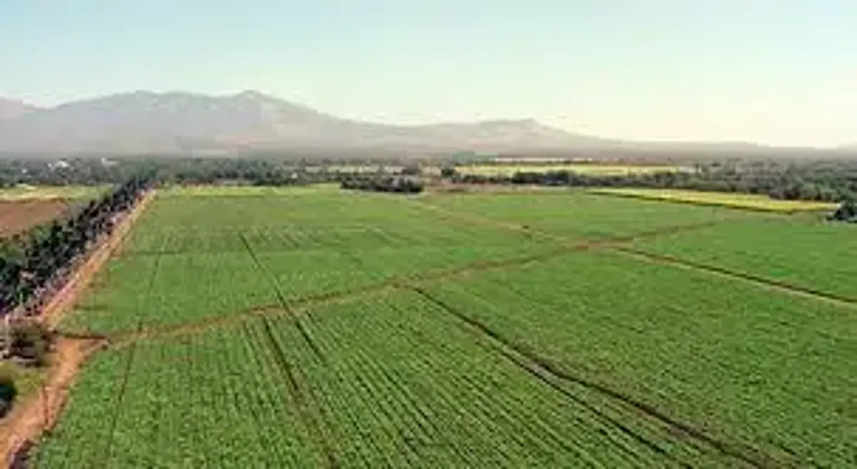 Terreno en venta en San José de Chiapa, San José Chiapa