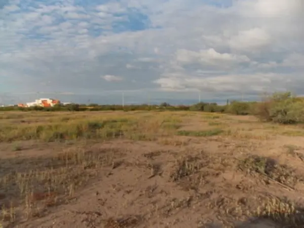 Terreno en venta en Hormiguero, Matamoros — foto 3 de 7