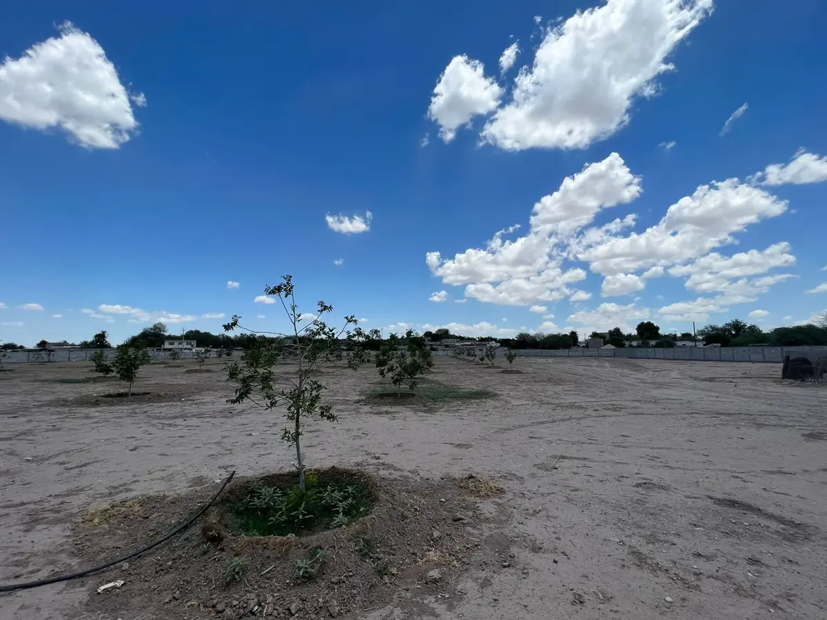 Terreno en Venta en Hormiguero, Matamoros, Coahuila de Zaragoza