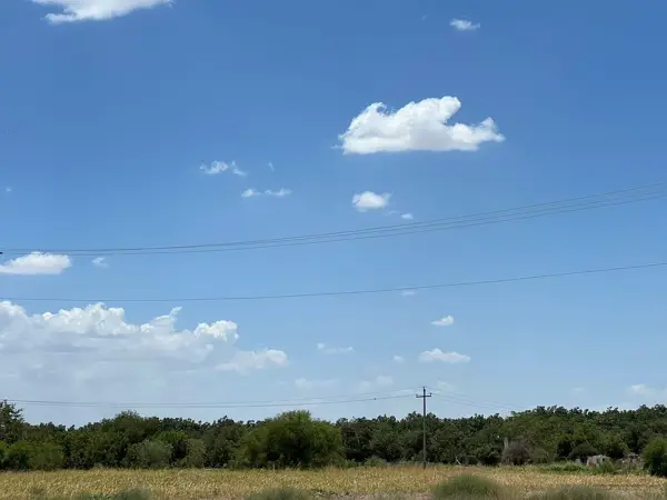 Terreno en venta en Hormiguero, Matamoros — foto 2 de 8
