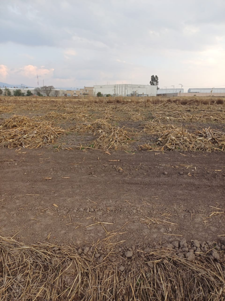 Terreno en venta en San Blas Otzacatipan, Toluca — foto 2 de 4