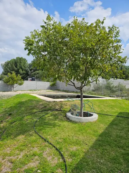 Terreno en venta en Arteaga Centro, Arteaga — foto 2 de 4