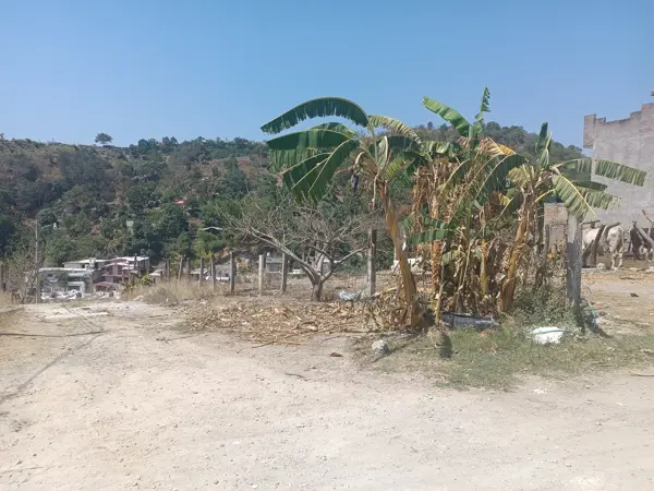 Terreno en venta en Insurgentes, Tepic, Nayarit